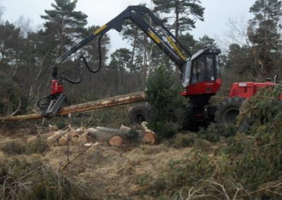 Moving Felled Trees