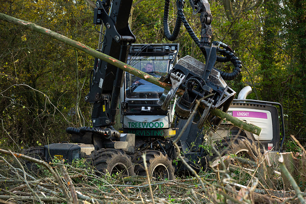 South East Forestry - Woodland Management